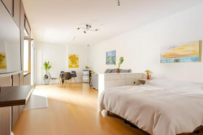 Loft amplio 50m2 nuevo en Recoleta